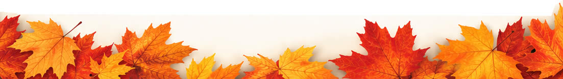 Bottom Banner